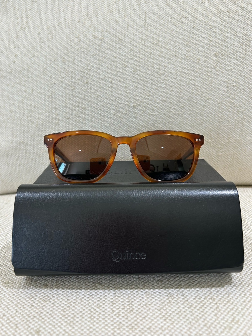 EUC QUINCE Athens Polarized Acetate Sunglasses Clear Brown Brown Lens Modern